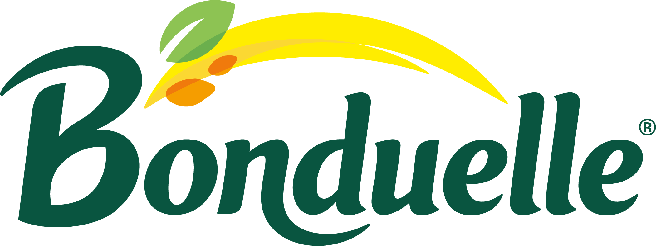 Bonduelle Master Wordmark Fullcolor Rgb Green 4