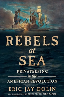 Two ships on the cover of a took titled Rebels at Sea